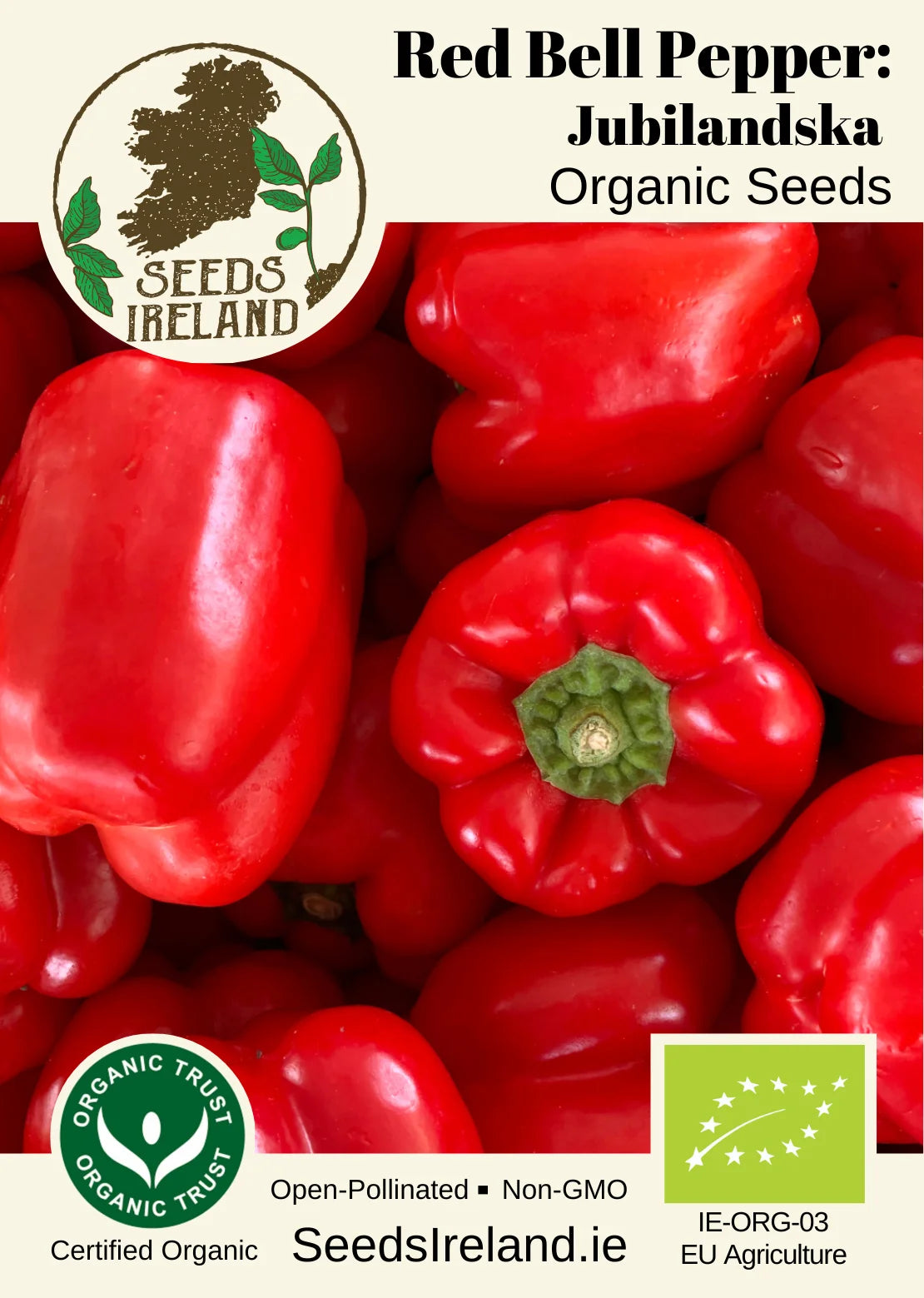 Pepper: Jubilandska - Red Bell Pepper Organic Seed