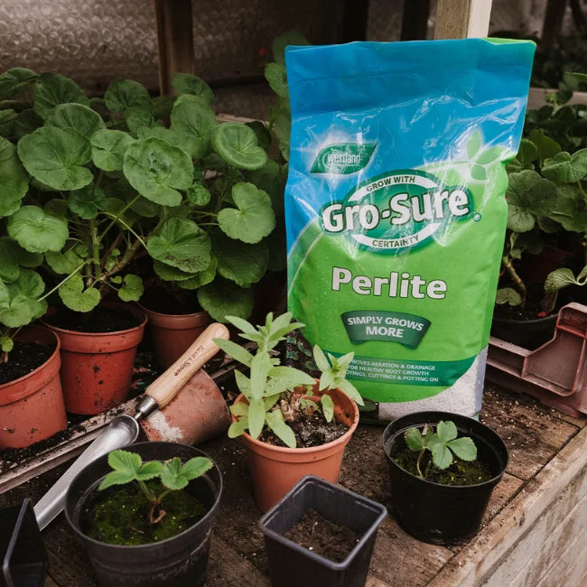 Perlite