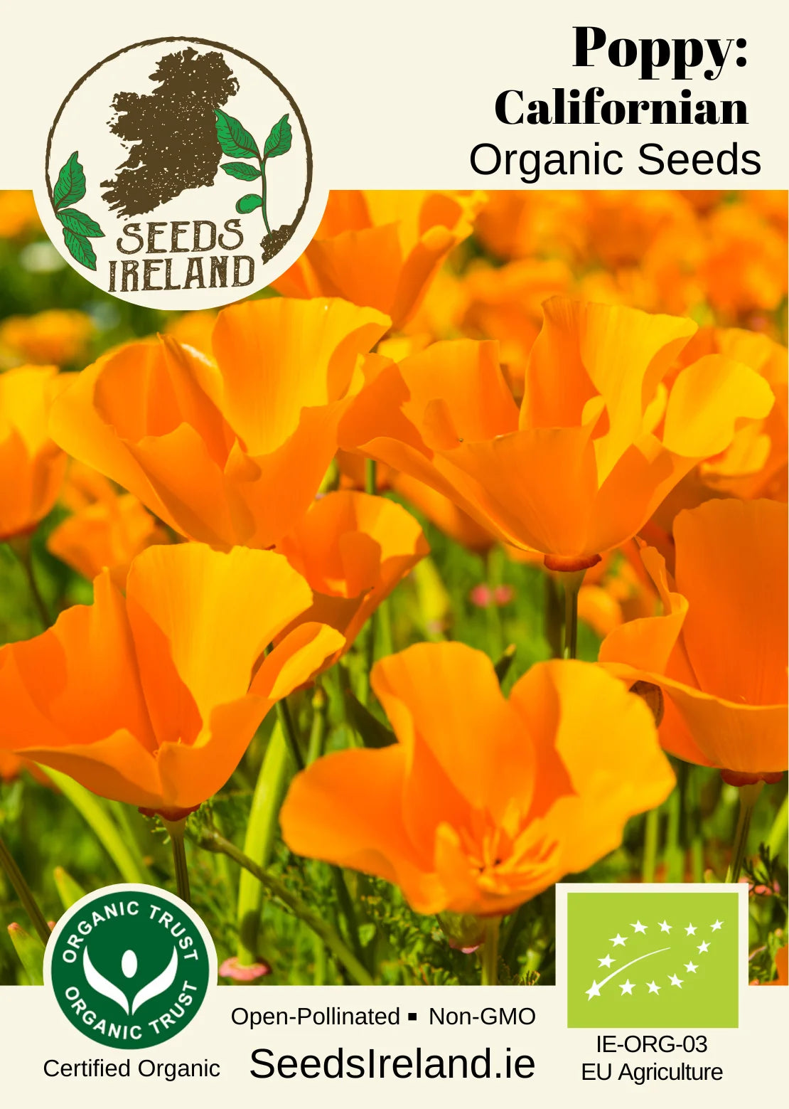 Poppy: Californian Organic Seed