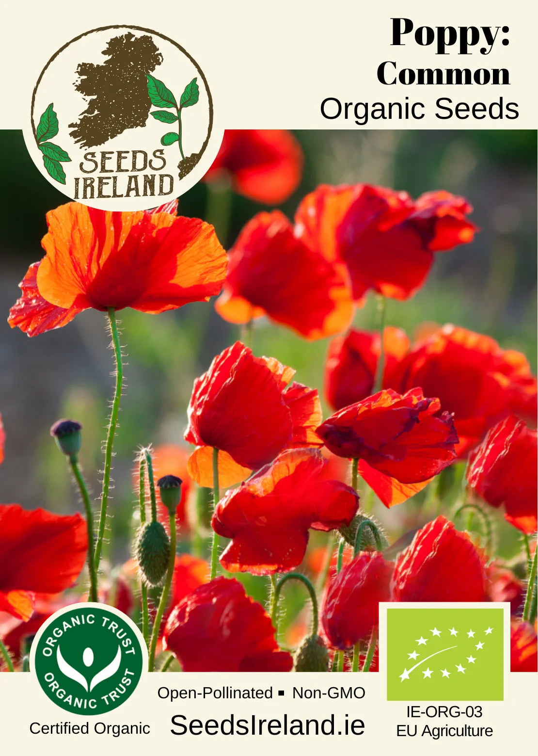 Poppy: Common Organic Seed
