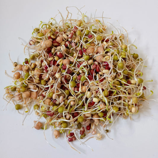 Organic Sprouting Seed: Protein Power Mix