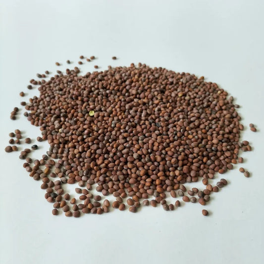 Radish Mix Seed