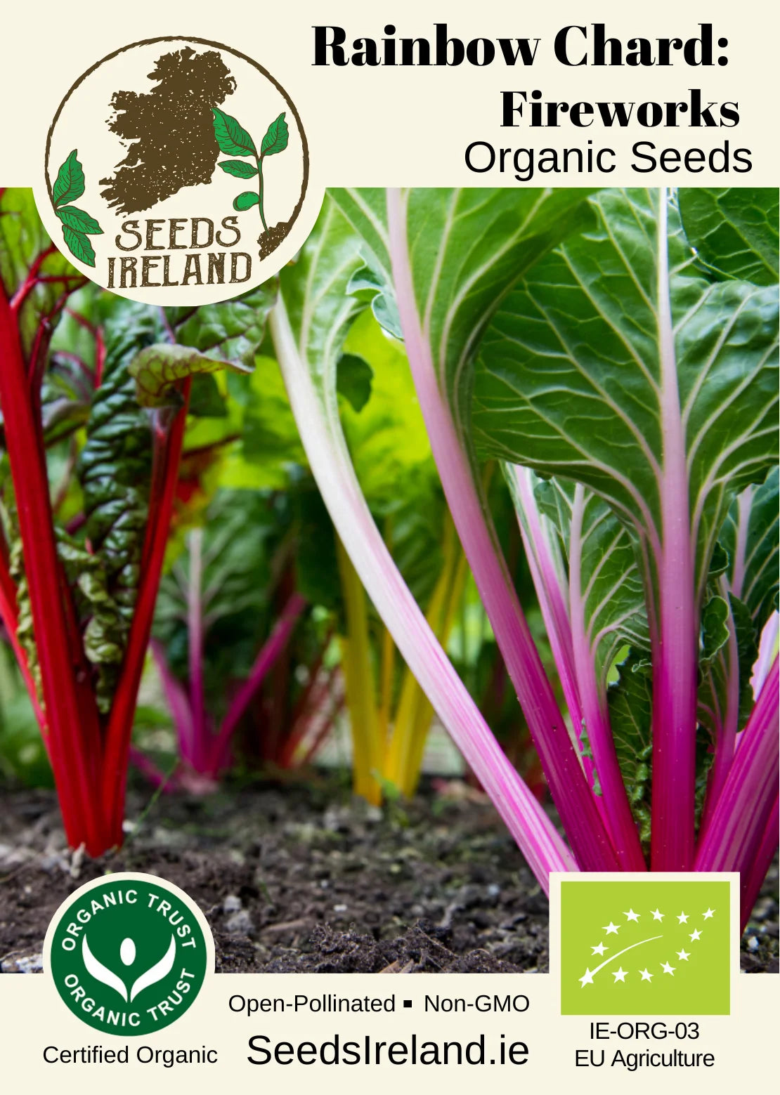 Rainbow Chard Seeds Ireland | Organic Vegetable Garden Seed