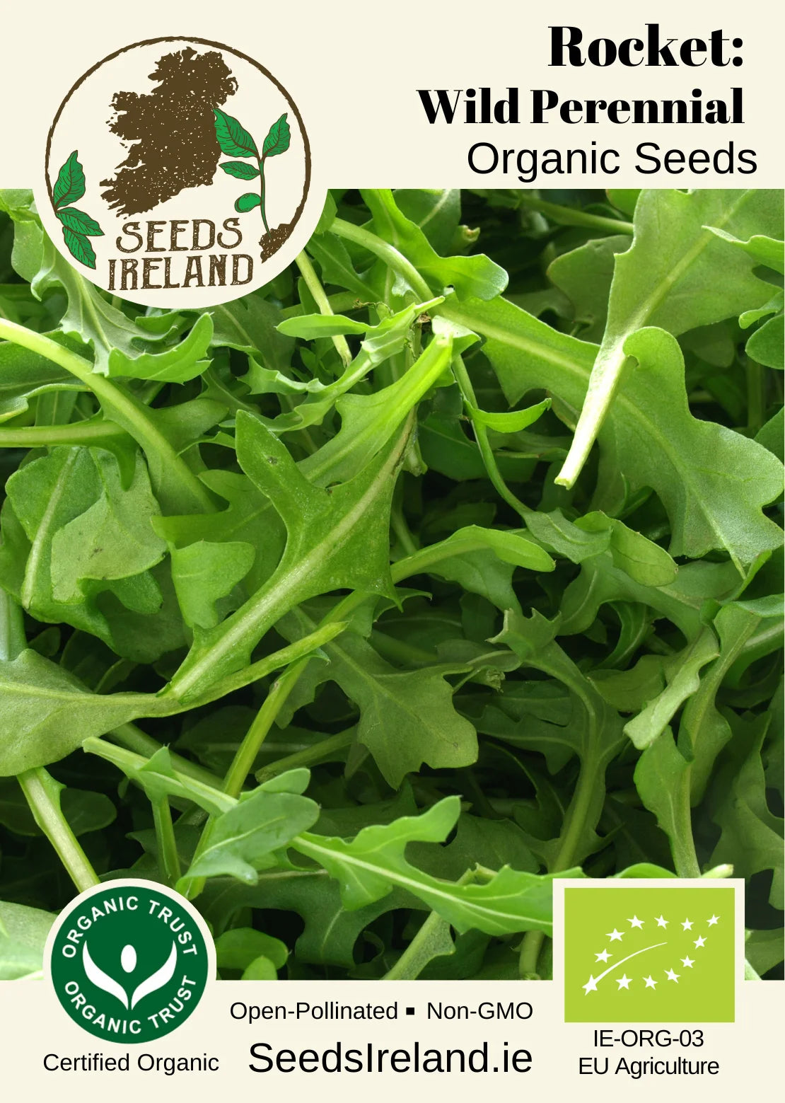 Wild Rocket Rice Wild Rocket Seeds Ireland | Organic Vegetable Seed