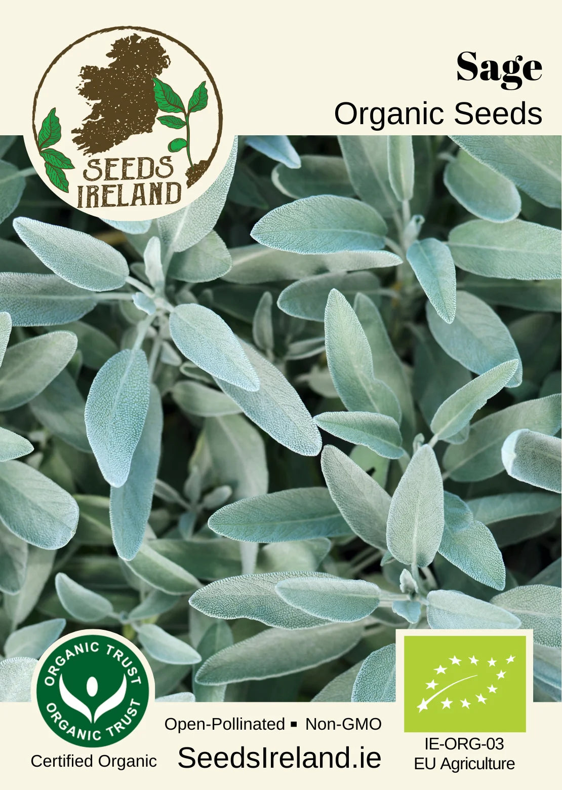 Sage Organic Seed