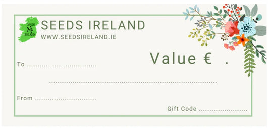 Digital Gift Card