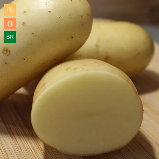 Organic Seed Potatoes: Athena