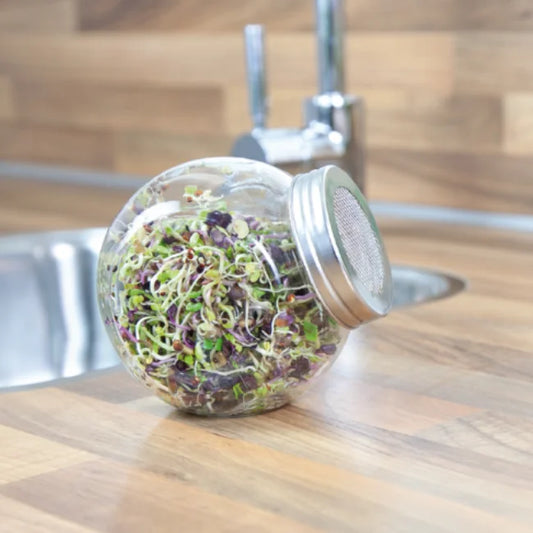 400ml Sprouting Jar with Metal Mesh Lid & Organic Spicy Salad Mix Seeds