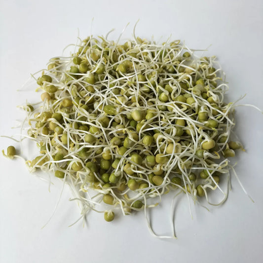 Affila Pea Organic Sprouting Seed