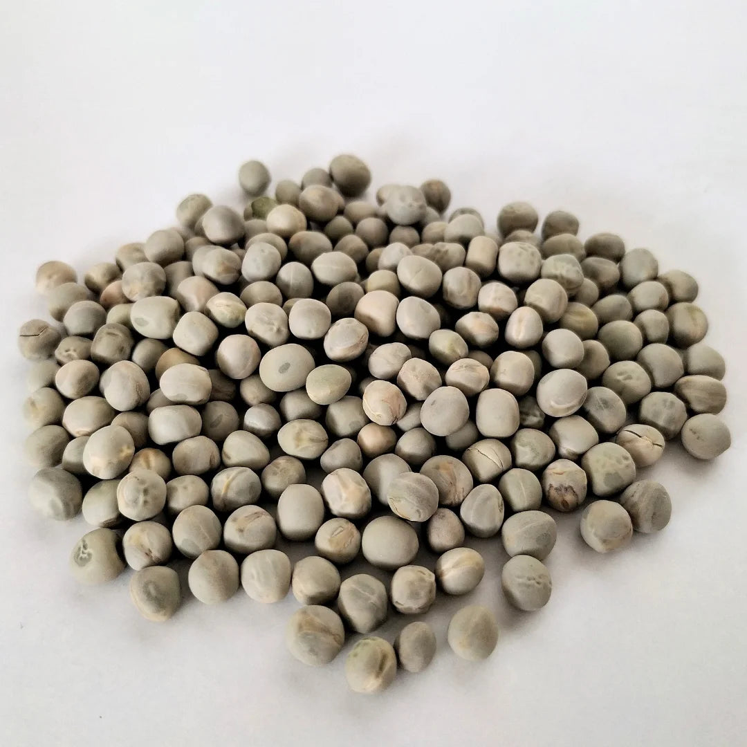 Green Pea Organic Sprouting Seed