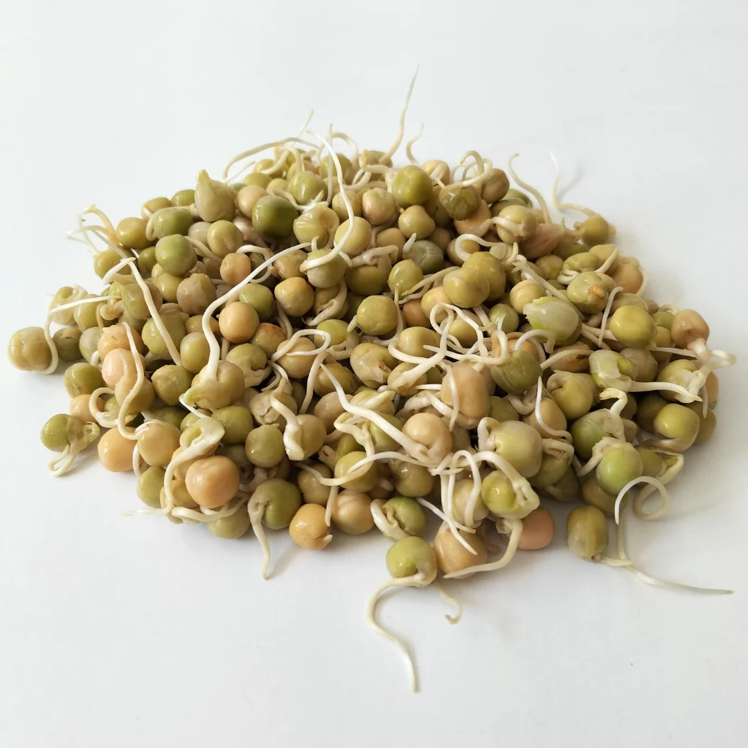 Green Pea Organic Sprouting Seed