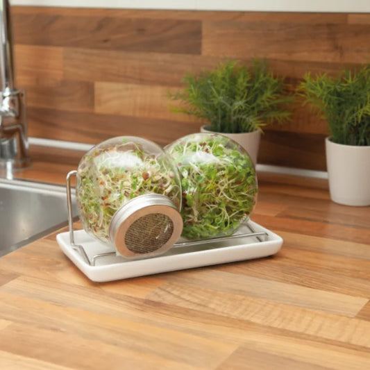 Twin 400ml Sprouting Jar Kit with Mesh Lids, Drip Tray & Steel Rack & 2 Organic Salad Mix Seeds