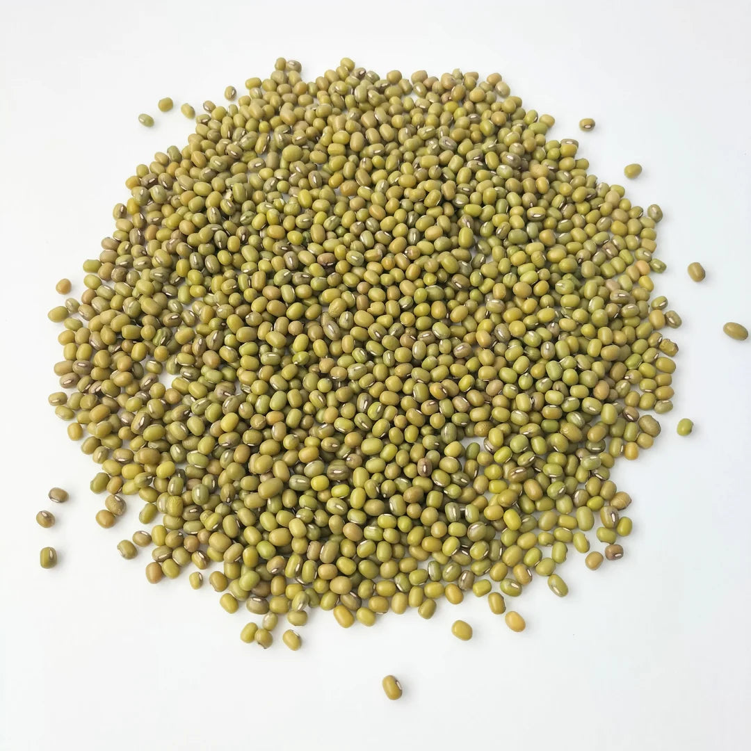 Mung Bean Organic Sprouting Seed