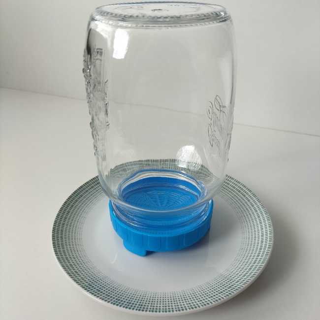 1000ml Sprouting Jar With Food Safe Straining Lid