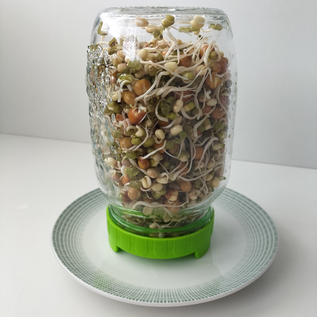 1000ml Sprouting Jar With Food Safe Straining Lid