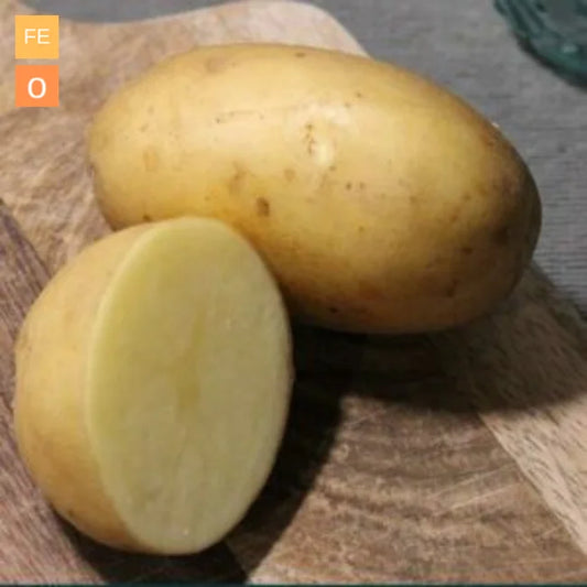 Organic Seed Potatoes: Starlette