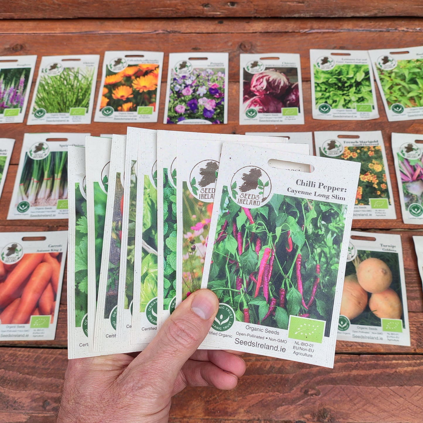 Seeds Ireland Discovery Collection – 8 Surprise Seed Packets