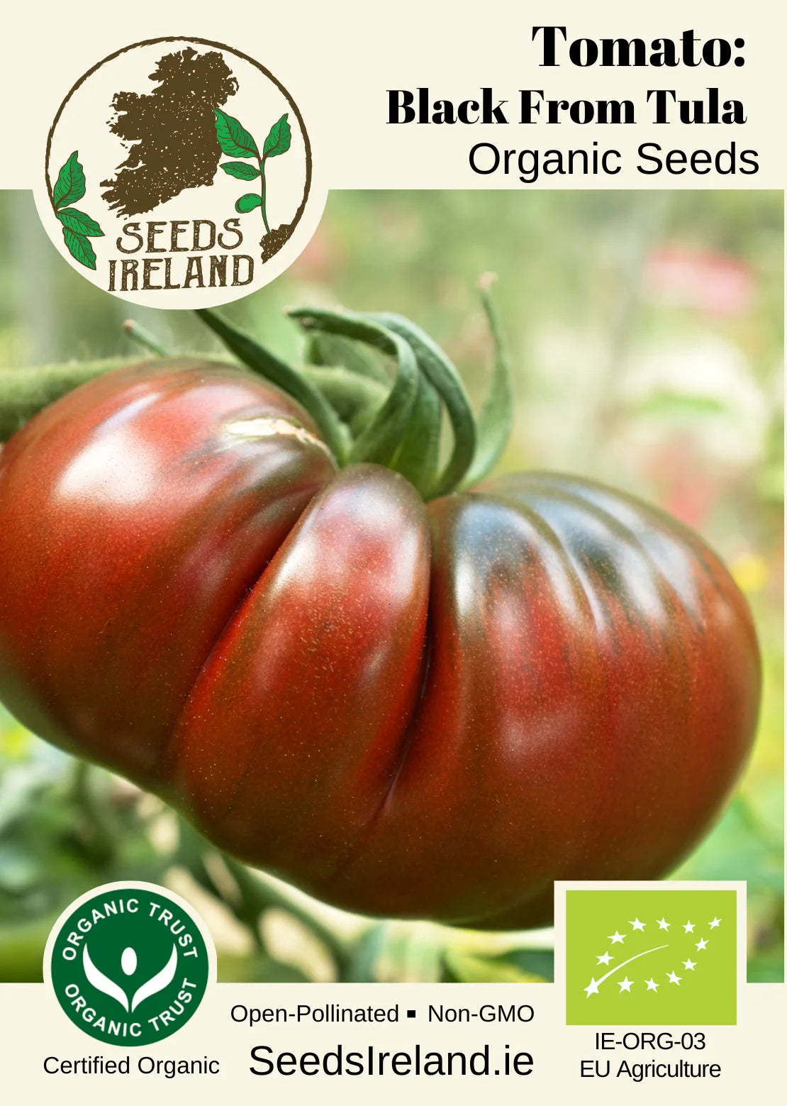 Tomato: Black From Tula Organic Seed