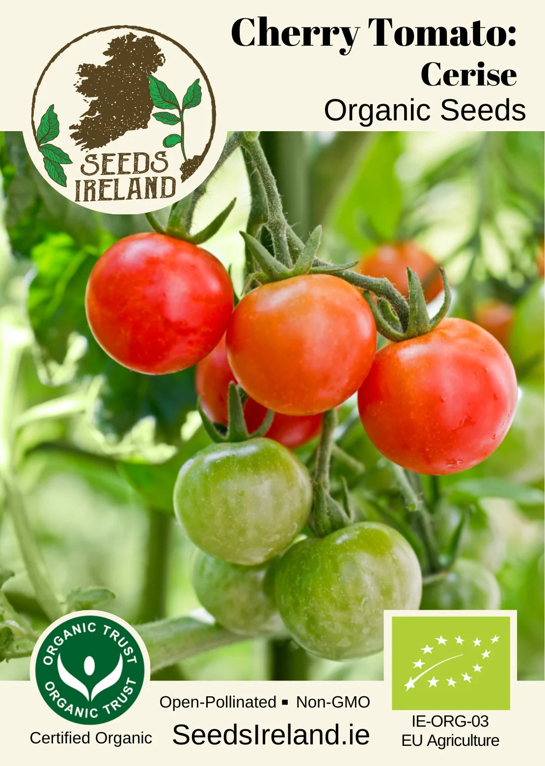 Cherry Tomato: Cerise Organic Seed