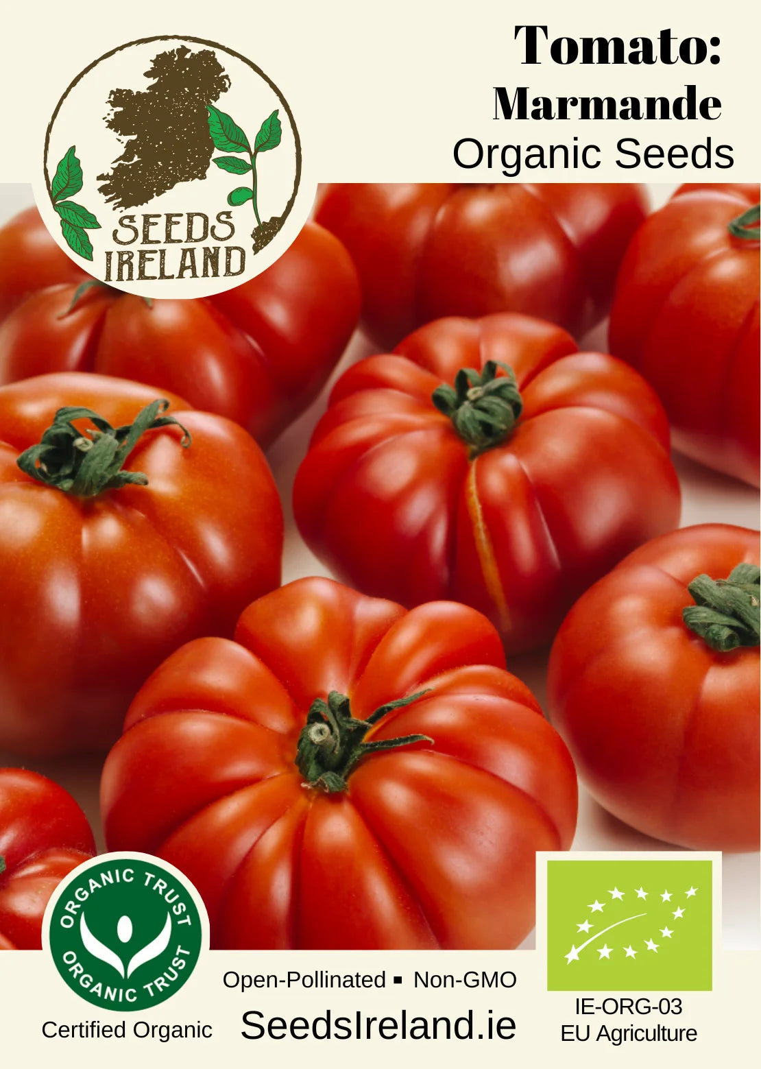 Tomato: Marmande (Beefsteak) Organic Seed