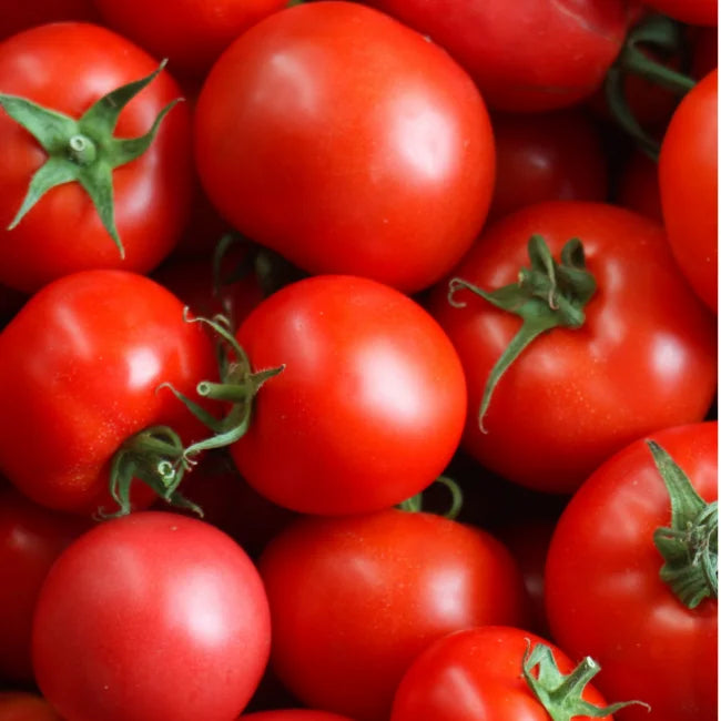 Tomato Matina