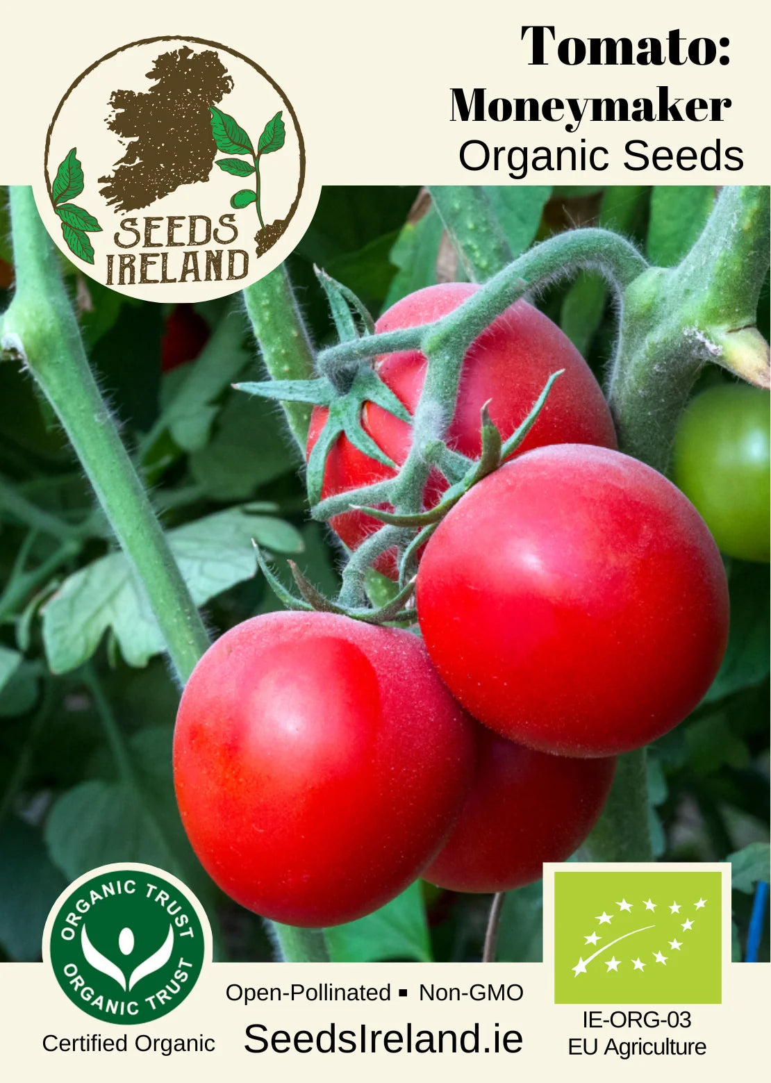 Tomato: Moneymaker Organic Seed