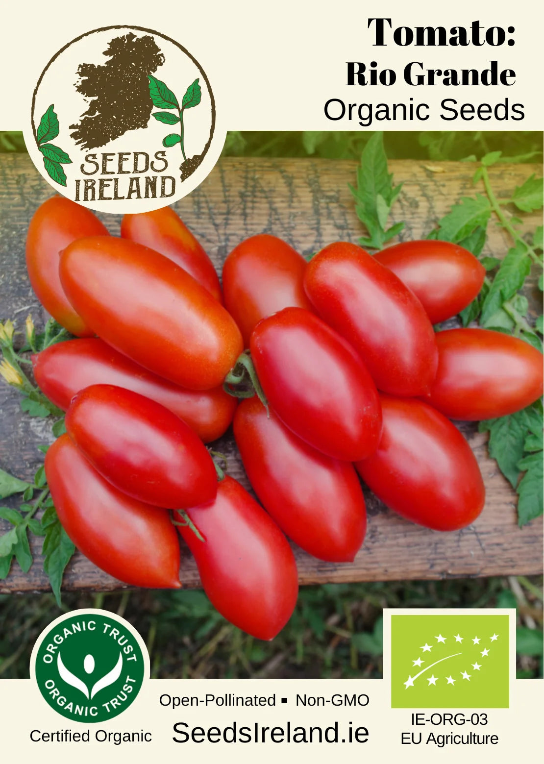 Tomato: Rio Grande Organic Seed