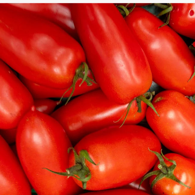 Tomato: San Marzano Organic Seed