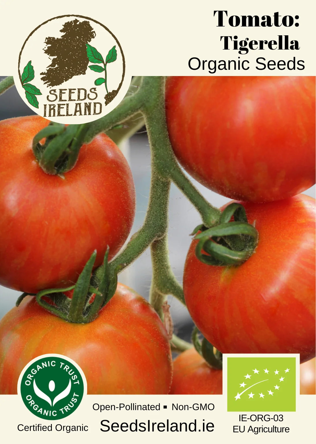 Tomato: Tigerella Organic Seed