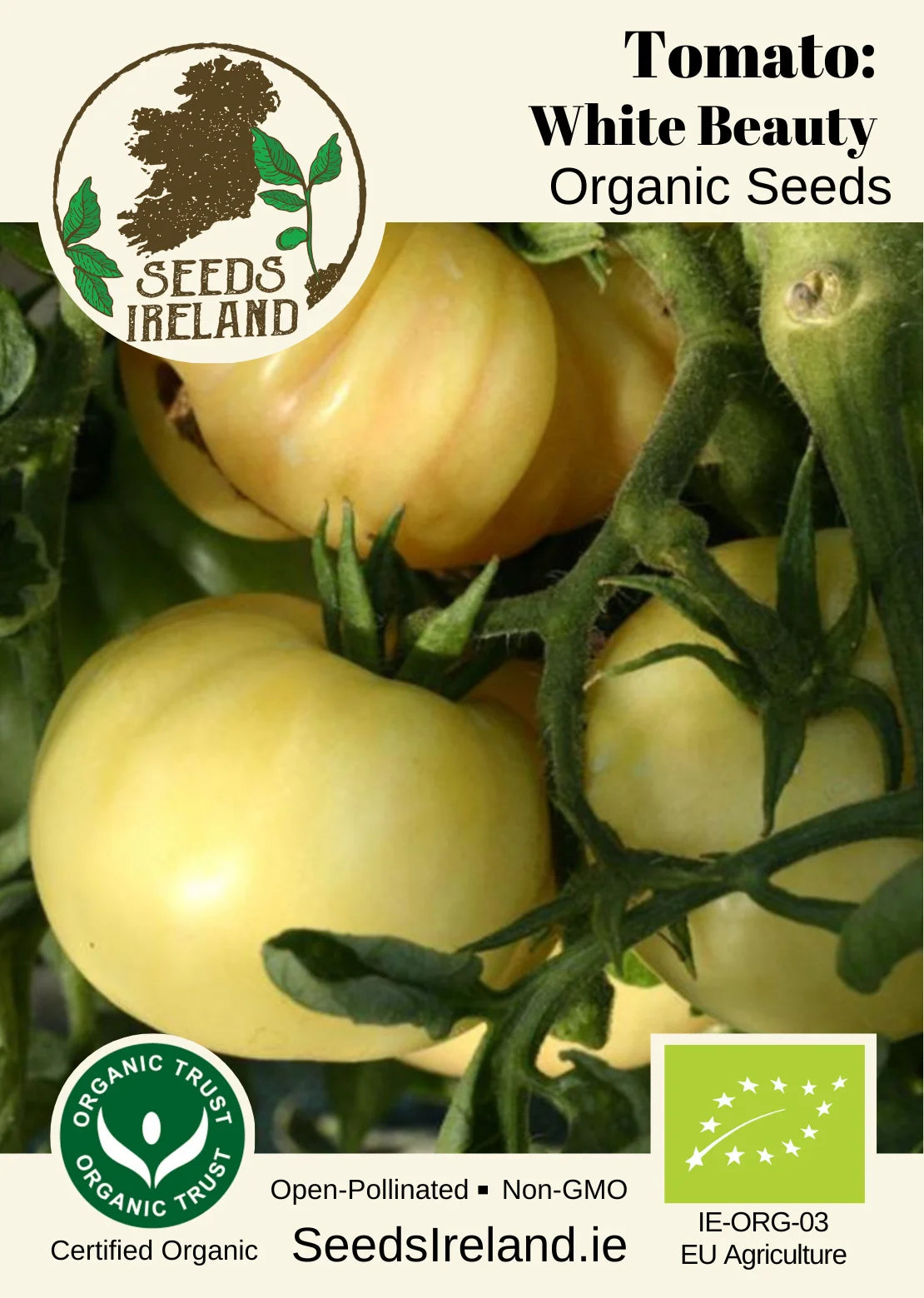 Tomato: White Beauty Organic Seed