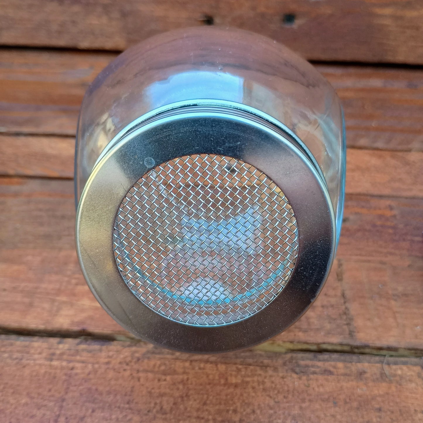 400ml Sprouting Jar with Metal Mesh Lid & Organic Salad Mix Seeds