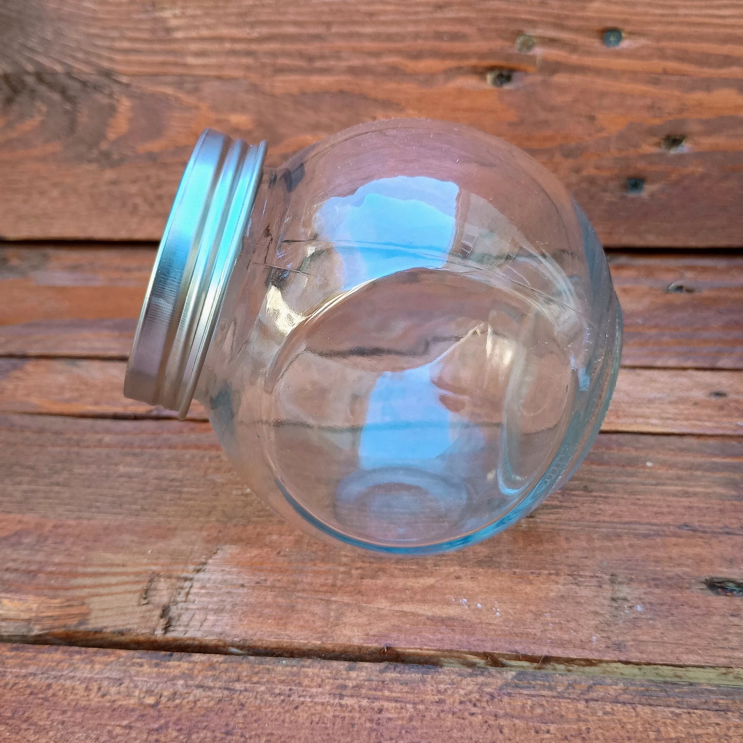 400ml Sprouting Jar with Metal Mesh Lid & Organic Salad Mix Seeds