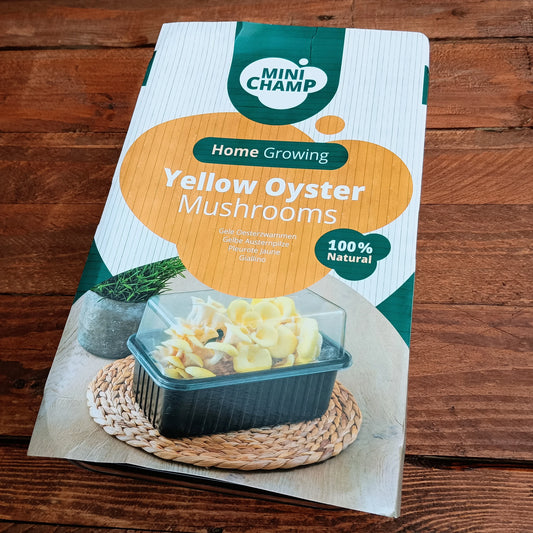 Yellow Oyster Mushroom Grow Kit