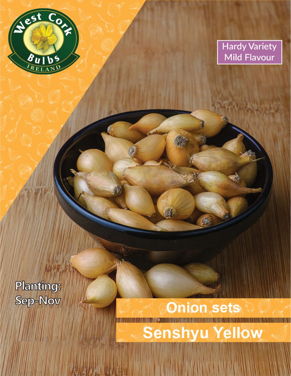 Senshyu Yellow Onion Sets Ireland Onion Bulbs Seeds Ireland