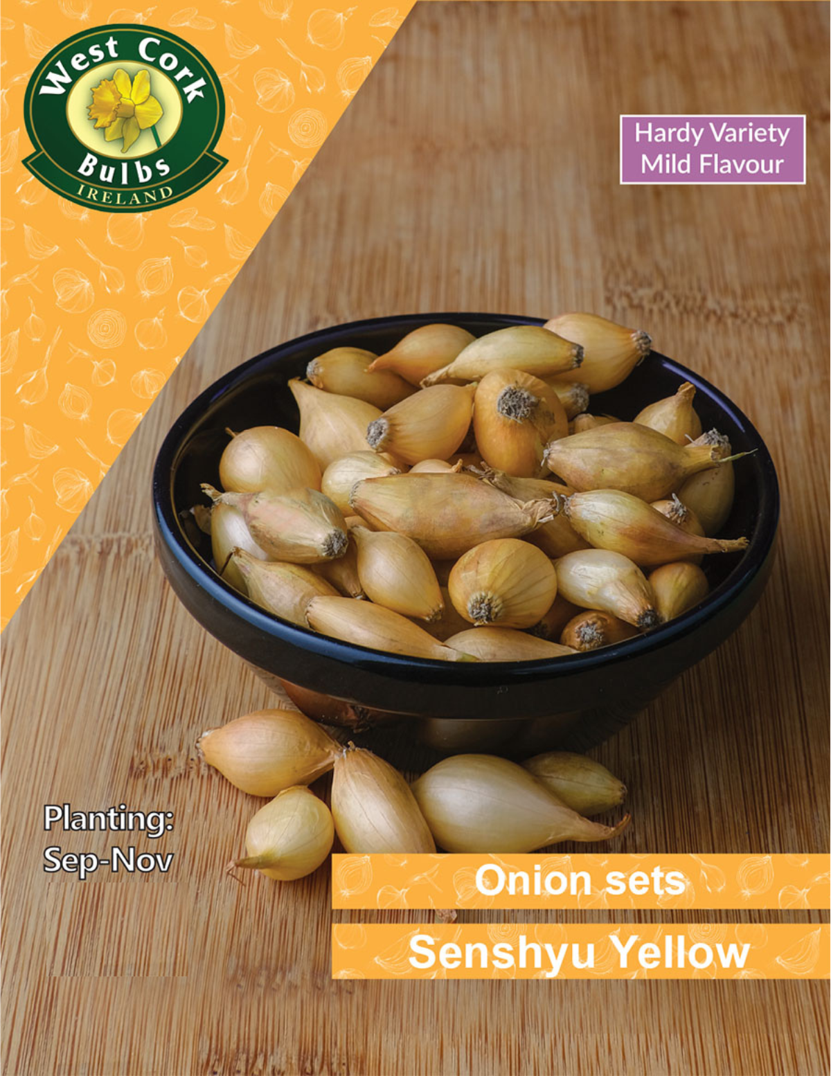 Onion Sets: Senshyu Yellow