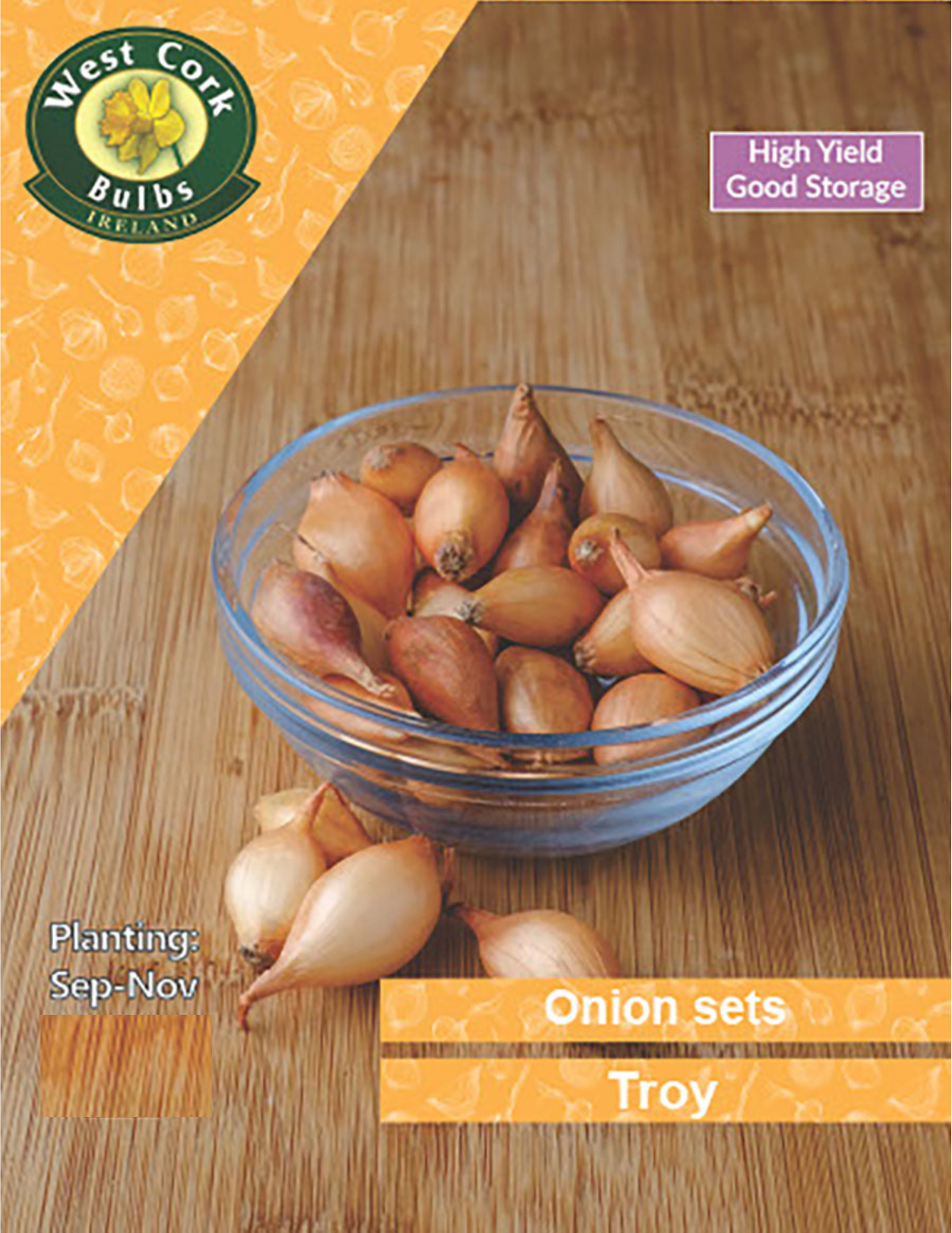 Steckzwiebeln: Troja