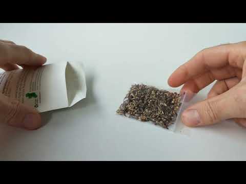 wedding favours wildflower seeds Wedding Seed Favours | Wildflower Seed